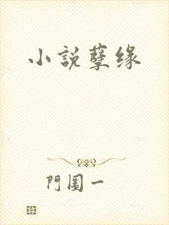 小说孽缘