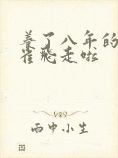 养了八年的金丝雀飞走啦