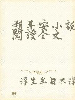 赵平安小说免费阅读全文