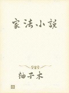 家法小说
