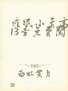 催眠小柔高达第13章免费阅读