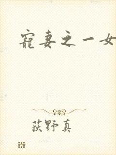 宠妻之一女二夫