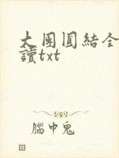 大团圆结全文阅读txt