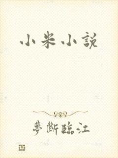 小米小说