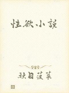 性欲小说