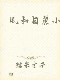 风和日丽小说