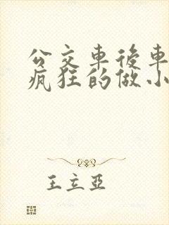 公交车后车座的疯狂的做小