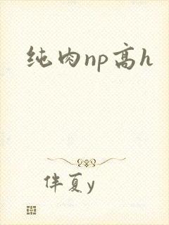 纯肉np高h