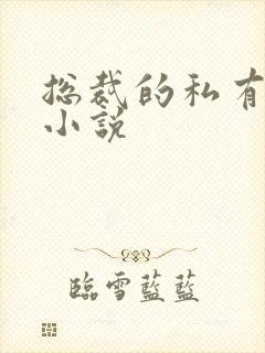 总裁的私有宝贝小说