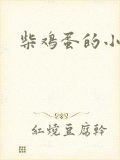 柴鸡蛋的小说