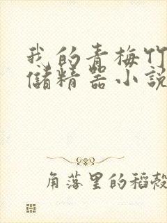 我的青梅竹马是储精器小说