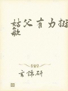 姑父有力挺送赵敏