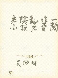 光阴乱作一团的小说免费阅读