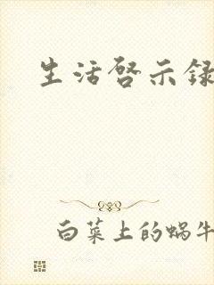 生活启示录结局