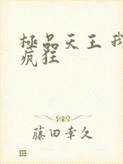 极品天王 我本疯狂