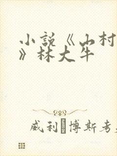 小说《山村情事》林大牛