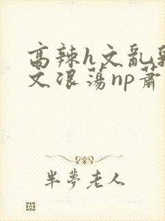 高辣h文乱乳h文浪荡np萧太后