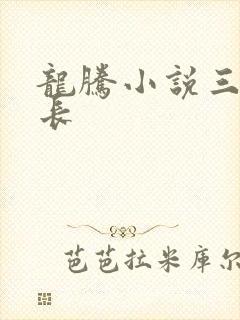 龙腾小说三宝局长