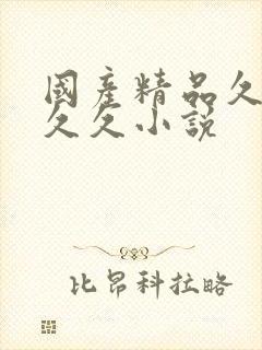 国产精品久久久久久小说