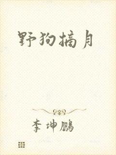 野狗摘月
