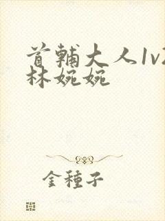 首辅大人1v2林婉婉