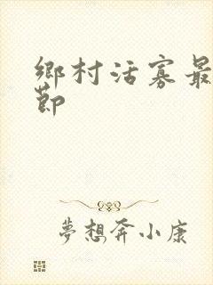 乡村活寡最新章节