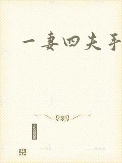 一妻四夫手记