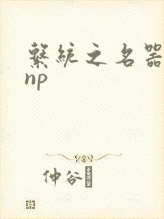 系统之名器攻略np