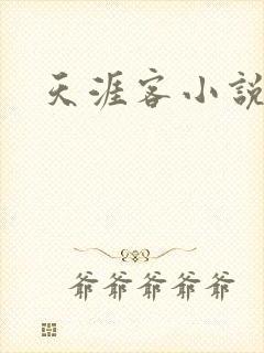 天涯客小说