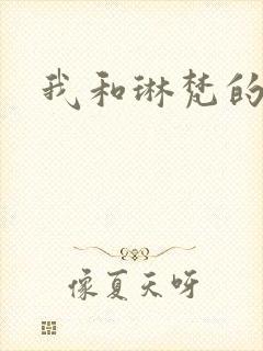 我和琳梵的故事