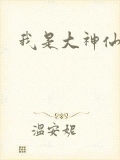 我是大神仙小说