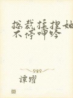 总裁揉捏她两乳不停呻吟