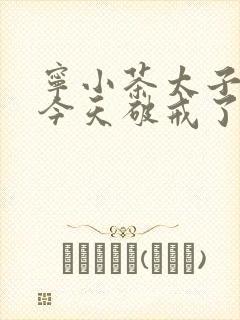 宁小茶太子殿下今天破戒了吗免费阅读