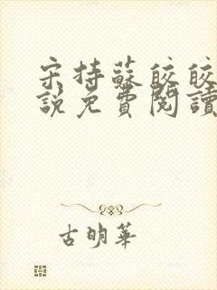 宋持苏皎皎的小说免费阅读