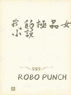 我的极品女老师小说