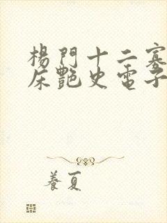 杨门十二寡妇肉床艳史电子书