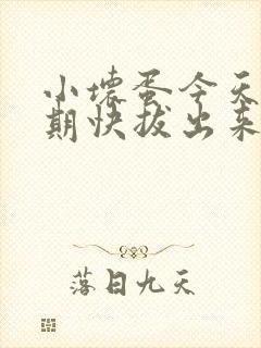 小坏蛋今天危险期快拔出来