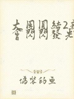 大团圆结2亲情会闪闪发光亲情会2