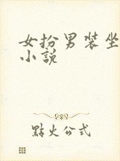 女扮男装坐江山小说