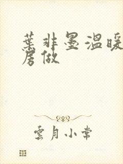 叶非墨温暖在厨房做