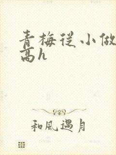 青梅从小做到大高h