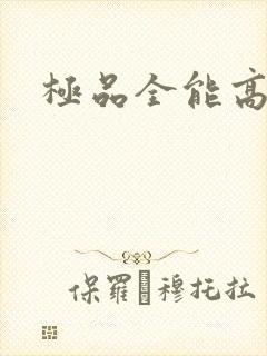 极品全能高手