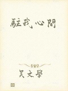 驻我心间
