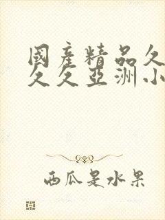 国产精品久久久久久亚洲小说