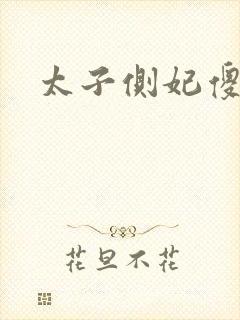 太子侧妃傻乎乎