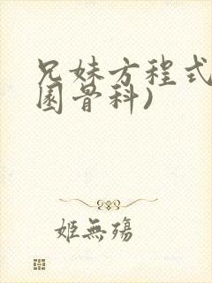 兄妹方程式(校园骨科)