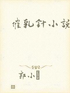 催乳针小说