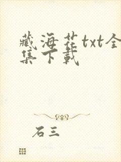 藏海花txt全集下载