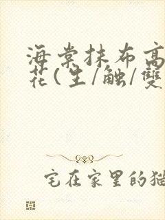 海棠抹布高岭之花(生/触/双)