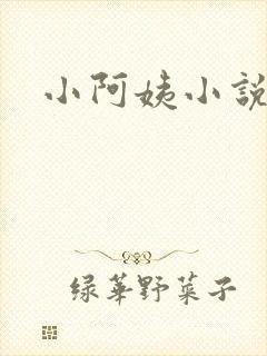 小阿姨小说